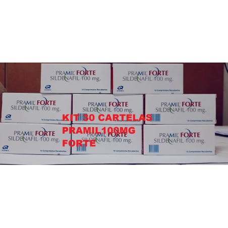 30 cartelas pramil 100mg